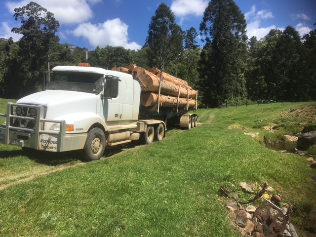 Platypus Timbers log truck loaded with hardwood logs near Mackay