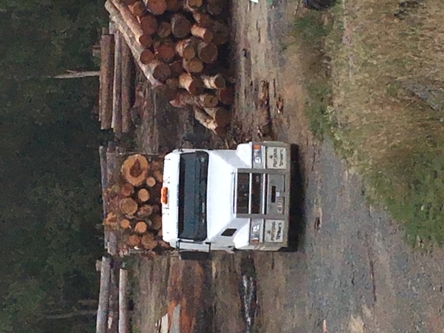 Log truck delivering hardwood logs to the Platypus Timbers log yard at Kuttabul near Mackay