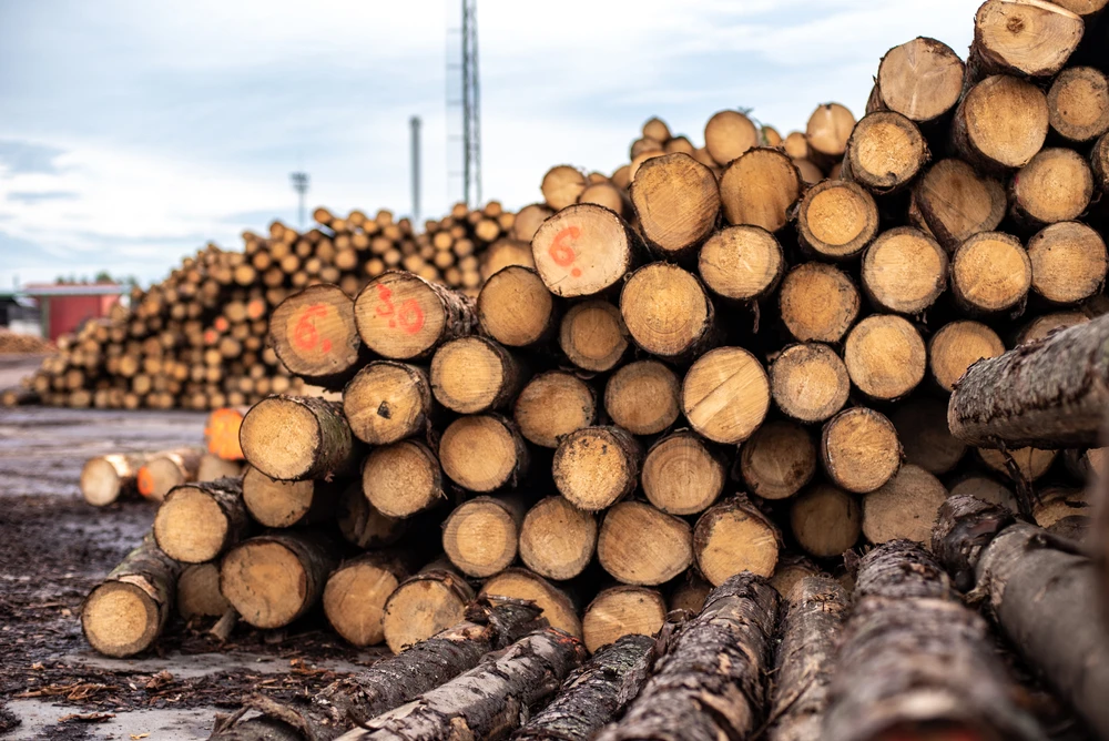 Timber supplies at the Platypus Timbers sawmill yard