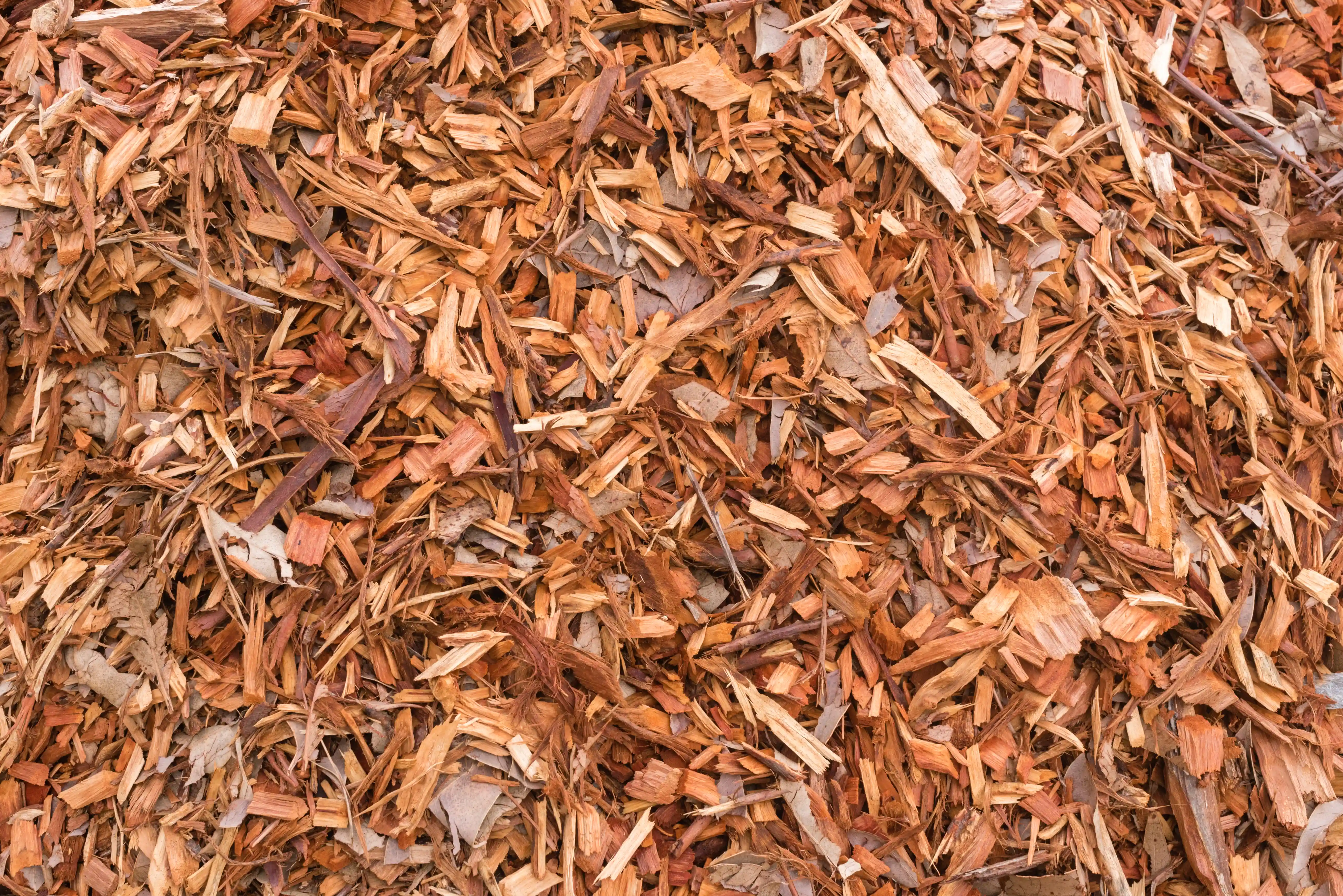 Wood chip pile at the Platypus Timbers yard