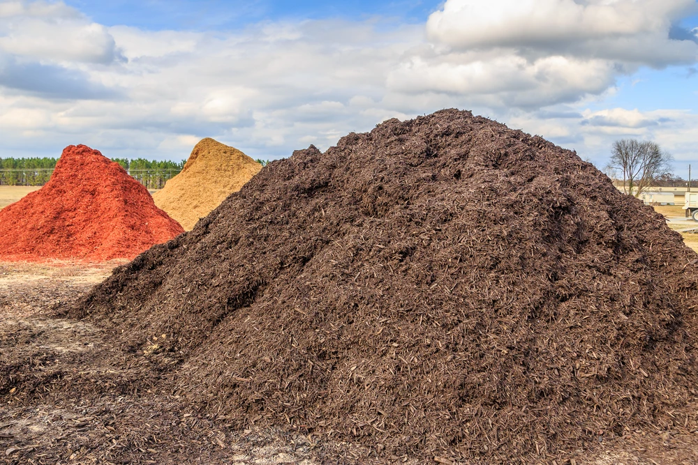 Wood chip stockpile ready for delivery in Mackay