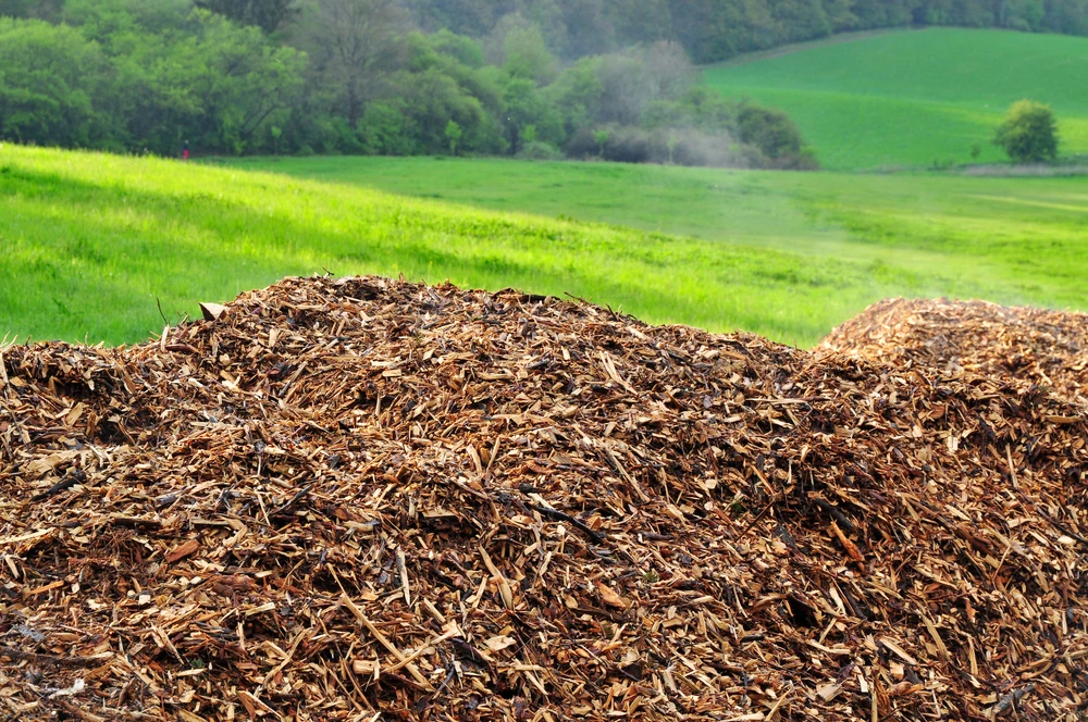 Wood chip stockpile ready for delivery in Mackay